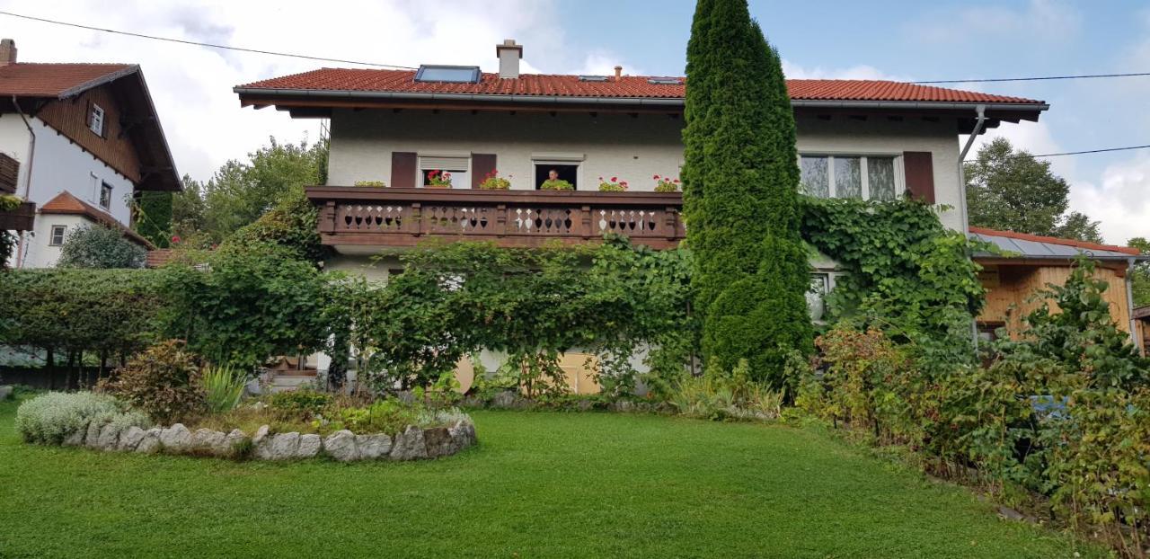 Ferienwohnung Bosch Seeg Exteriör bild